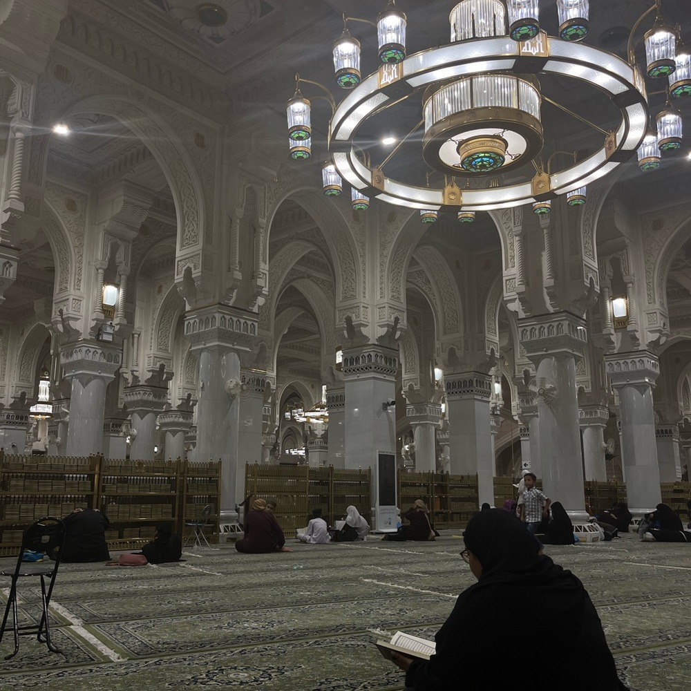 Meet your Posher, Mariam ayed